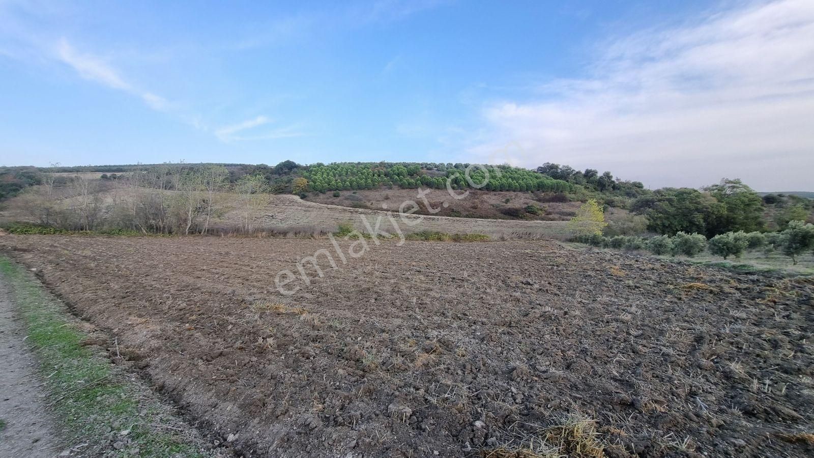 Bursa Mudanya Emirleryenicesi Köyünde Satılık Fırsat Tarla - Görsel 13