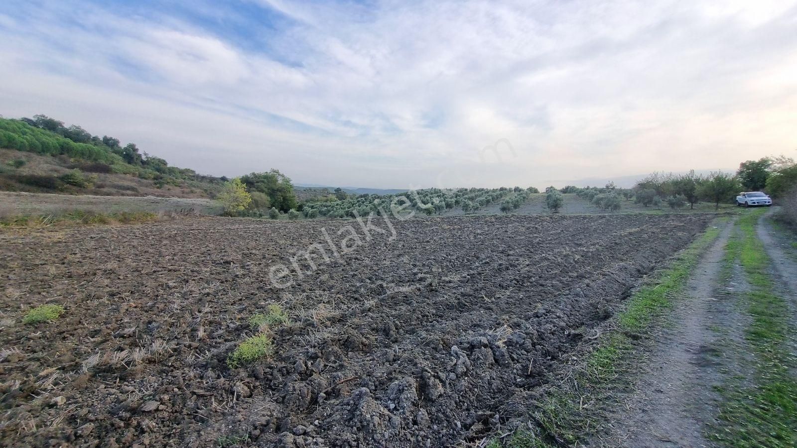 Bursa Mudanya Emirleryenicesi Köyünde Satılık Fırsat Tarla - Görsel 17