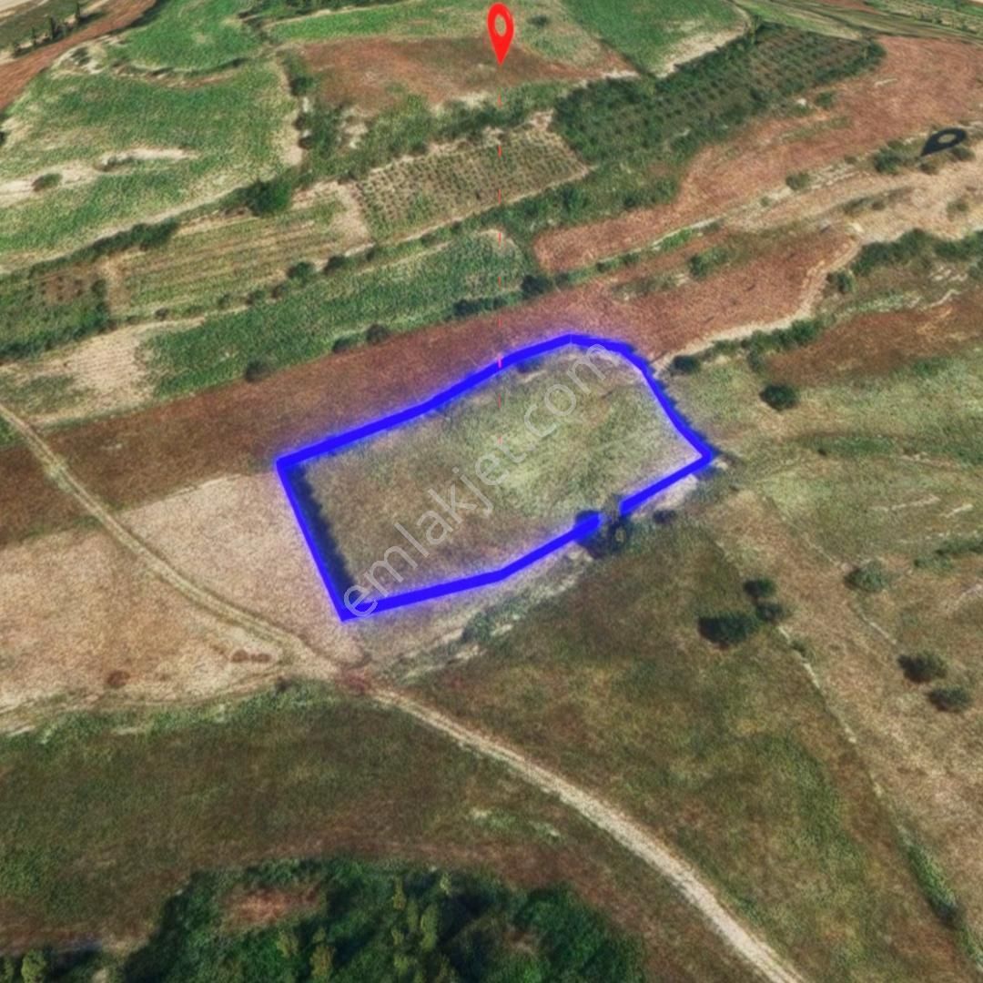 Mersın/tarsus/karakutuk Koyu, Karakutukonu Mevkıı Satılık Tarla - Görsel 2