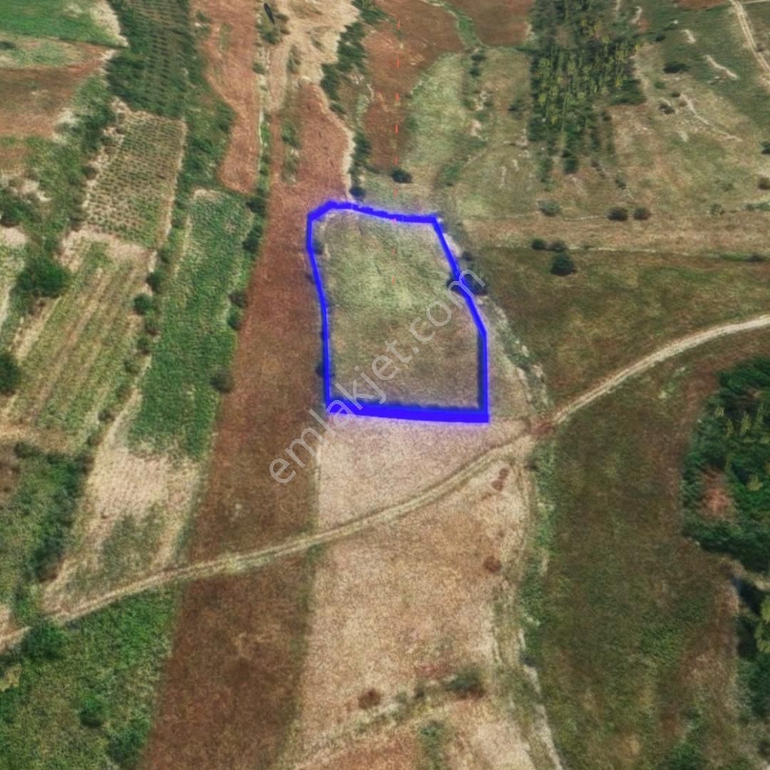 Mersın/tarsus/karakutuk Koyu, Karakutukonu Mevkıı Satılık Tarla - Görsel 12