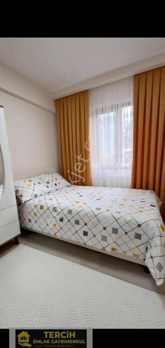 Tercih'ten Üniversite Işıklarda 2+1 Kupon Apart - Görsel 14
