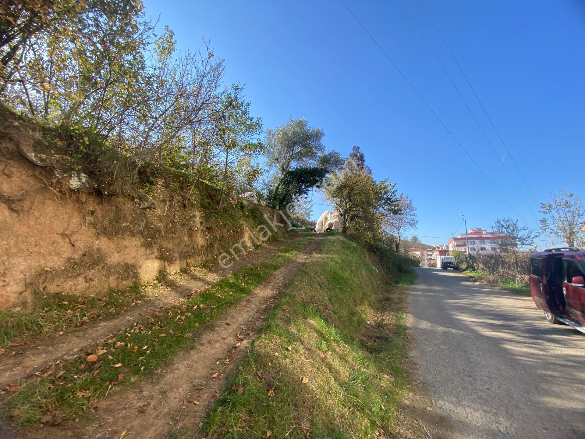 Yomra Sancak Mahallesinde Kat Karşılığı Arsa - Görsel 7