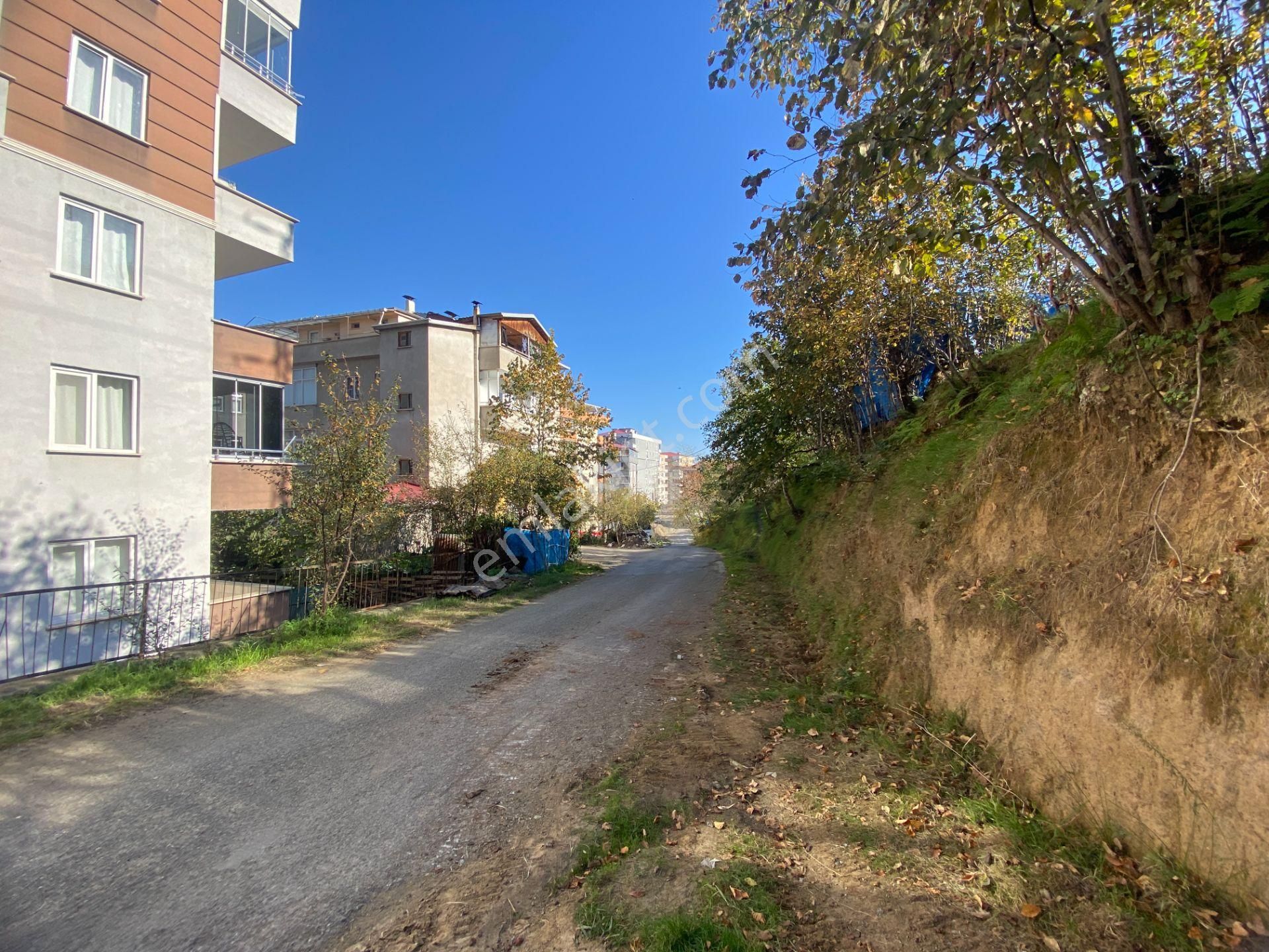 Yomra Sancak Mahallesinde Kat Karşılığı Arsa - Görsel 6