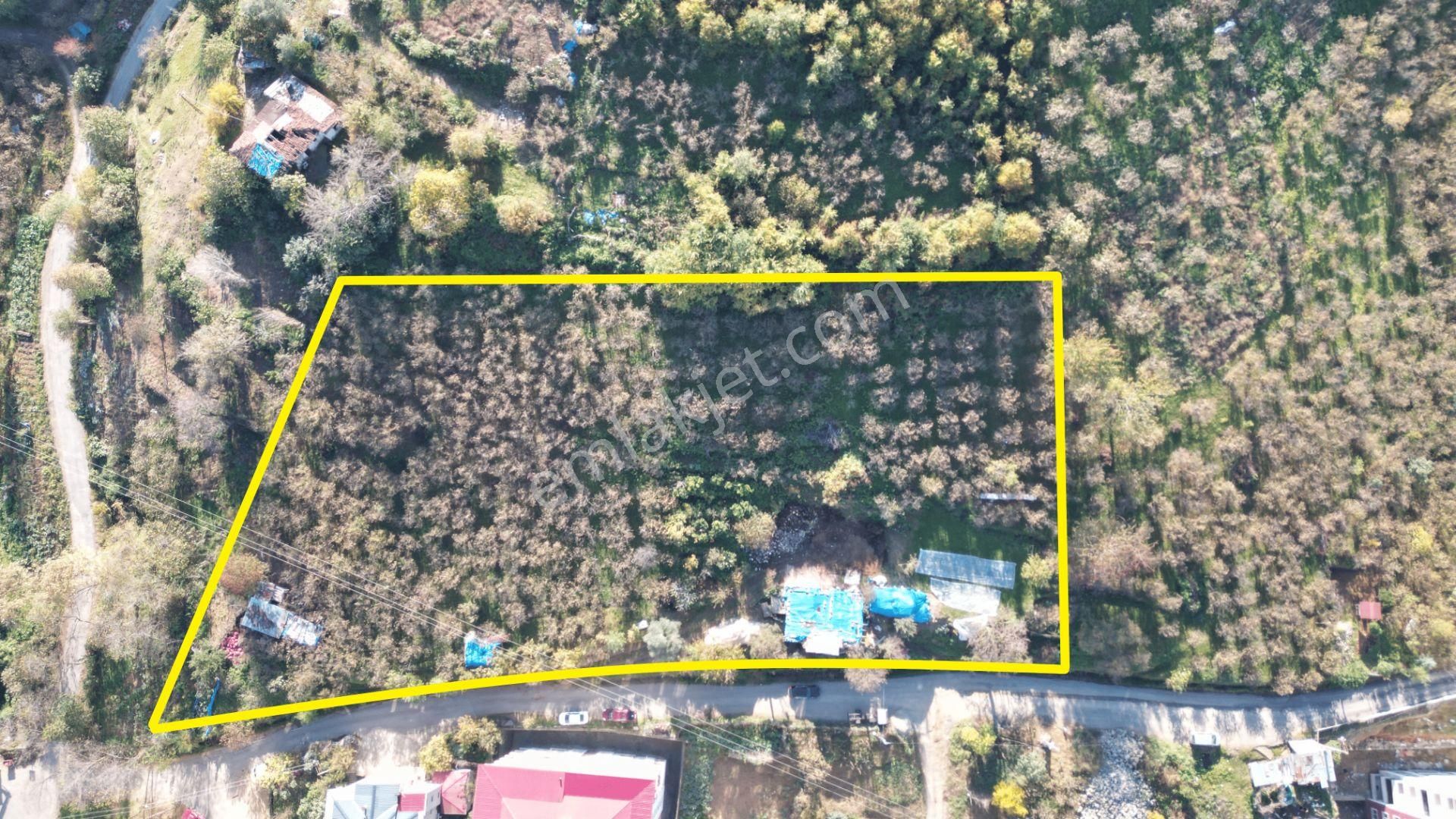 Yomra Sancak Mahallesinde Kat Karşılığı Arsa