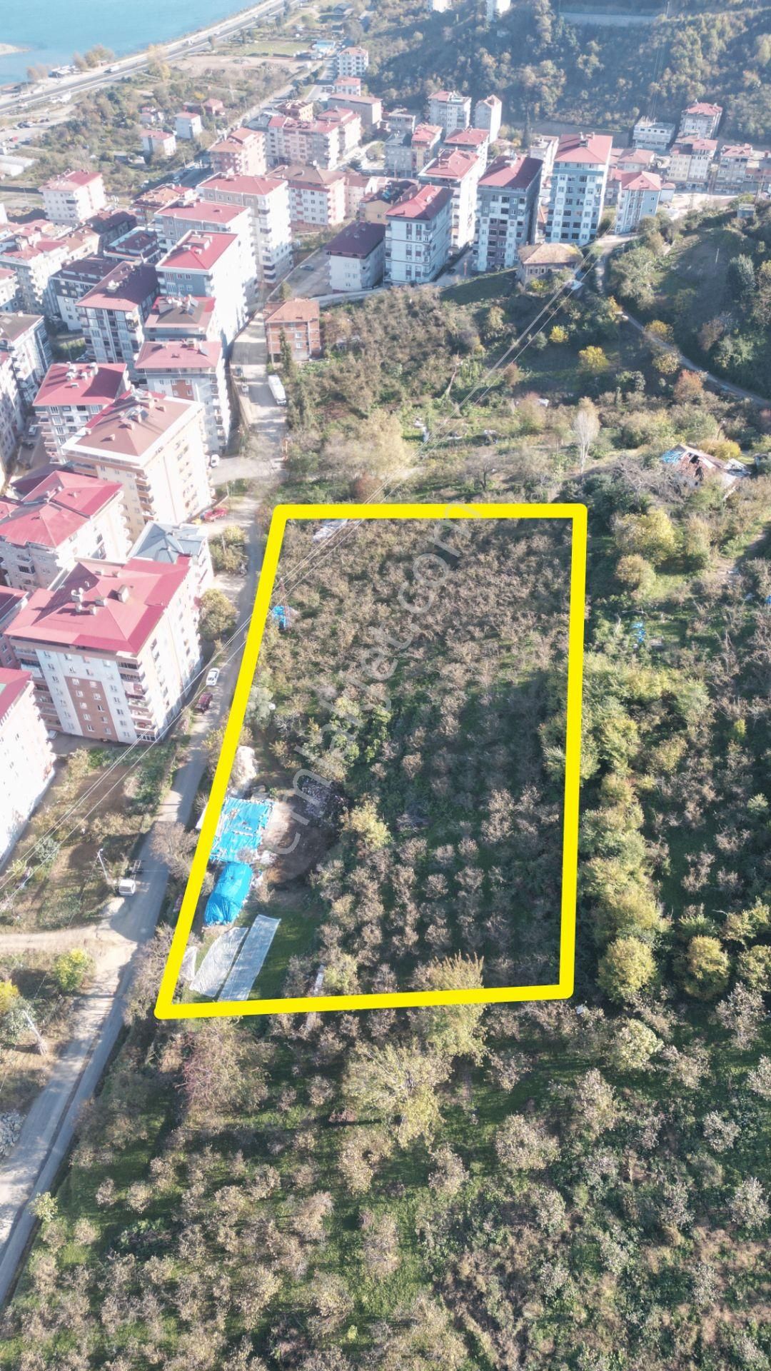 Yomra Sancak Mahallesinde Kat Karşılığı Arsa - Görsel 2