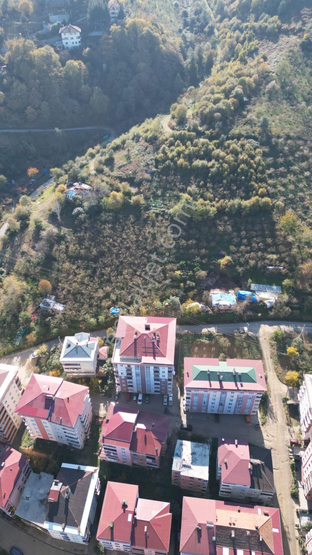 Yomra Sancak Mahallesinde Kat Karşılığı Arsa - Görsel 4