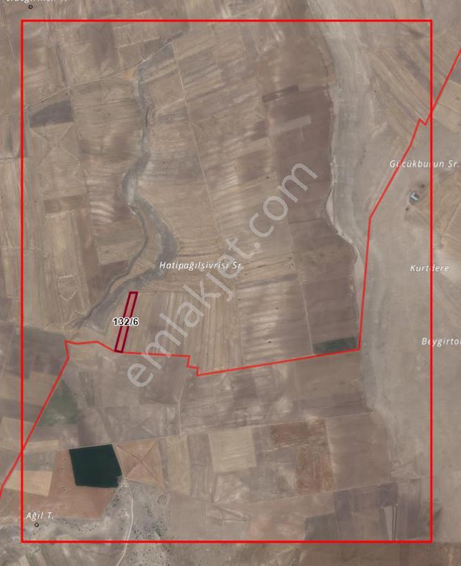Recep Ümit Emlak'tan Seyitgazi Ayvalı Köyünde 4 Parça Farklı Ebatlarda 1. Sınıf Satılık Tarla - Görsel 29