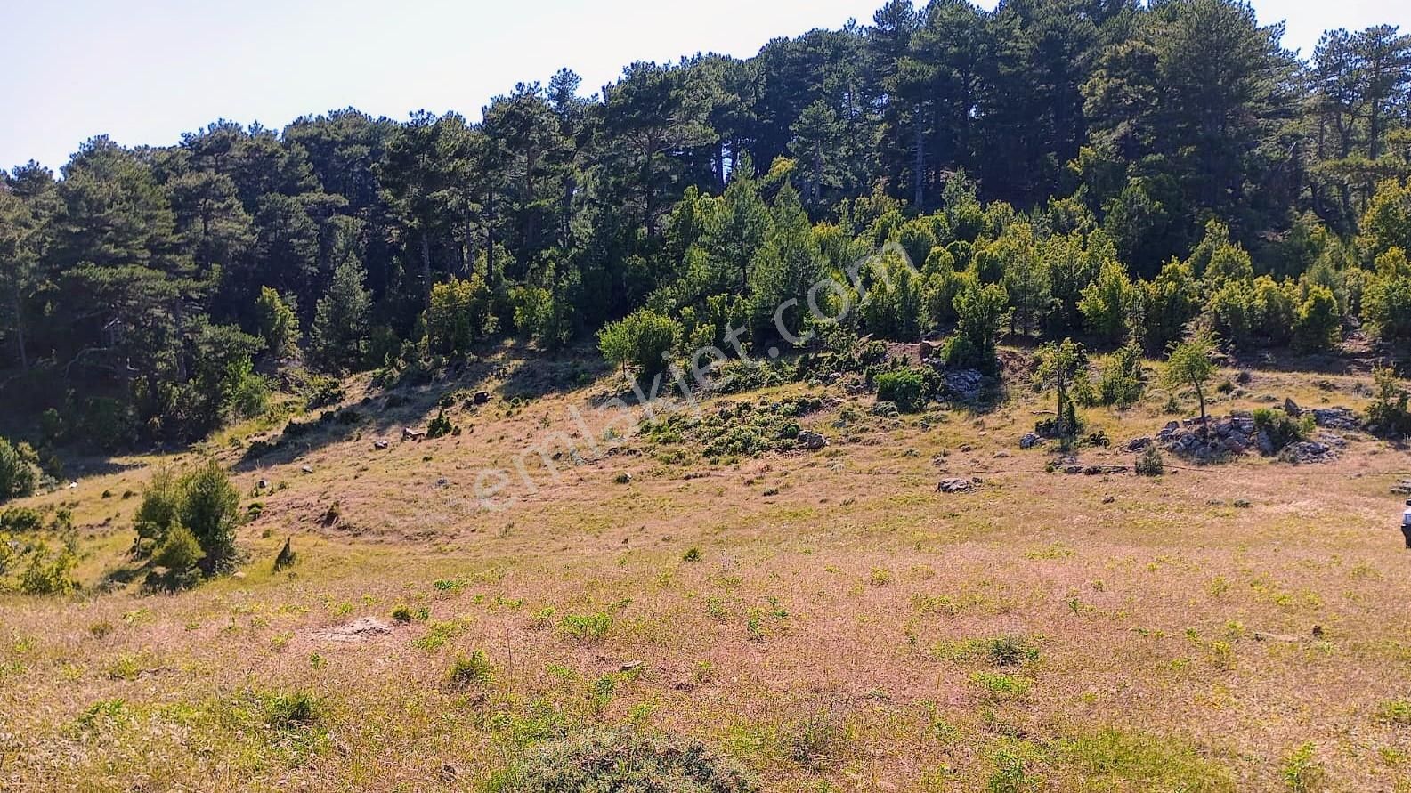 Dalaman Taşbaşında Kaçırılmayacak 4.370 M² Yatırımlık Tarla! - Görsel 2