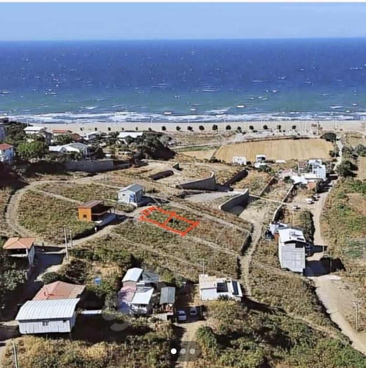 Mudanya,da Deniz Manzaralı Hobi Bahçesi - Görsel 5