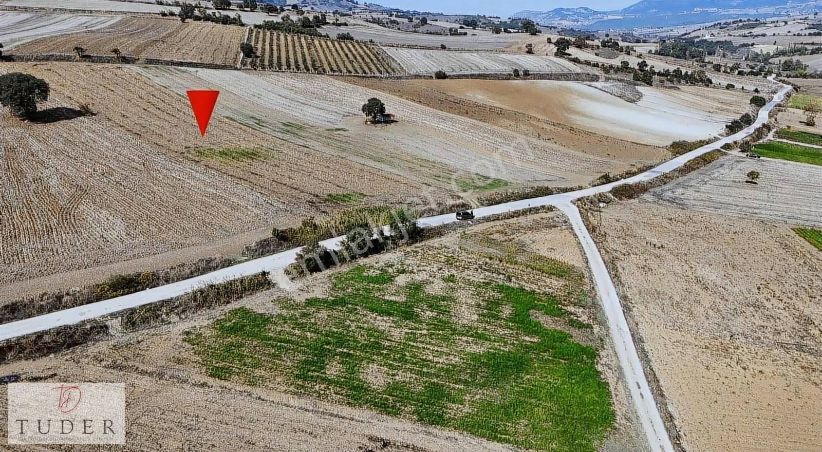 Çelebide 8.550 M² Asfalta Cepheli , Ulaşımı Kolay Verimli Tarla - Görsel 22