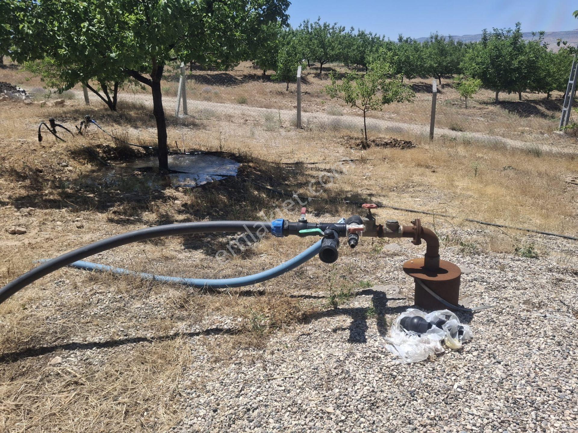 Yeşilyurt Duranlarda Satılık Çiflik Tadında Özel Yapılmış Olan 12 Dönüm Bahçe - Görsel 26