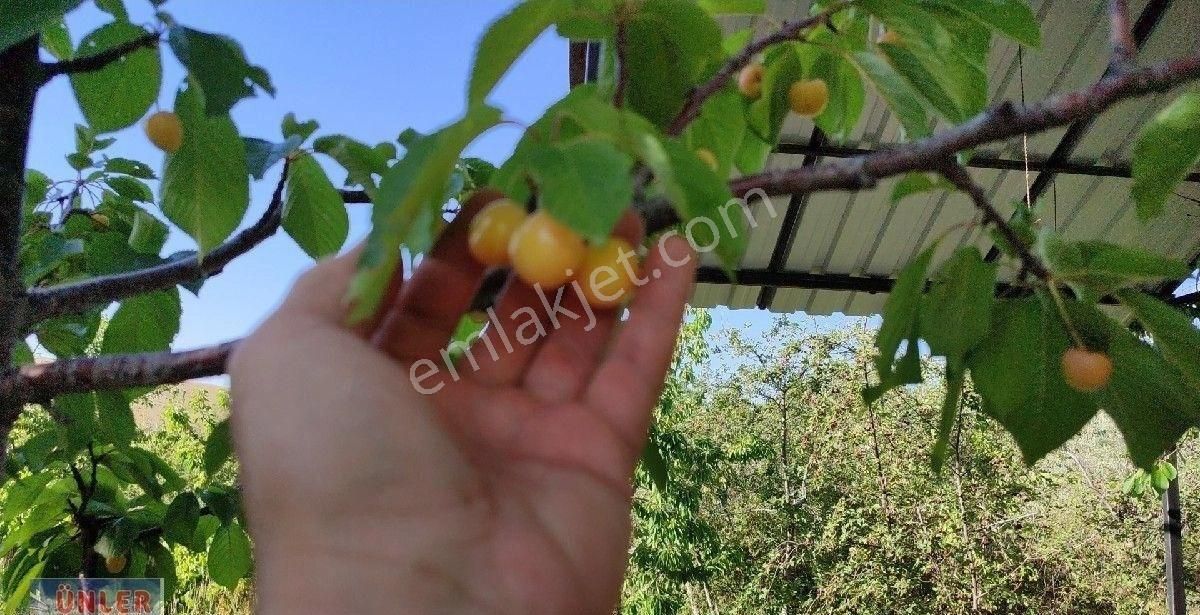 Büyük Dedeköyünde Satılık Villa Ve Bahçemiz - Görsel 9