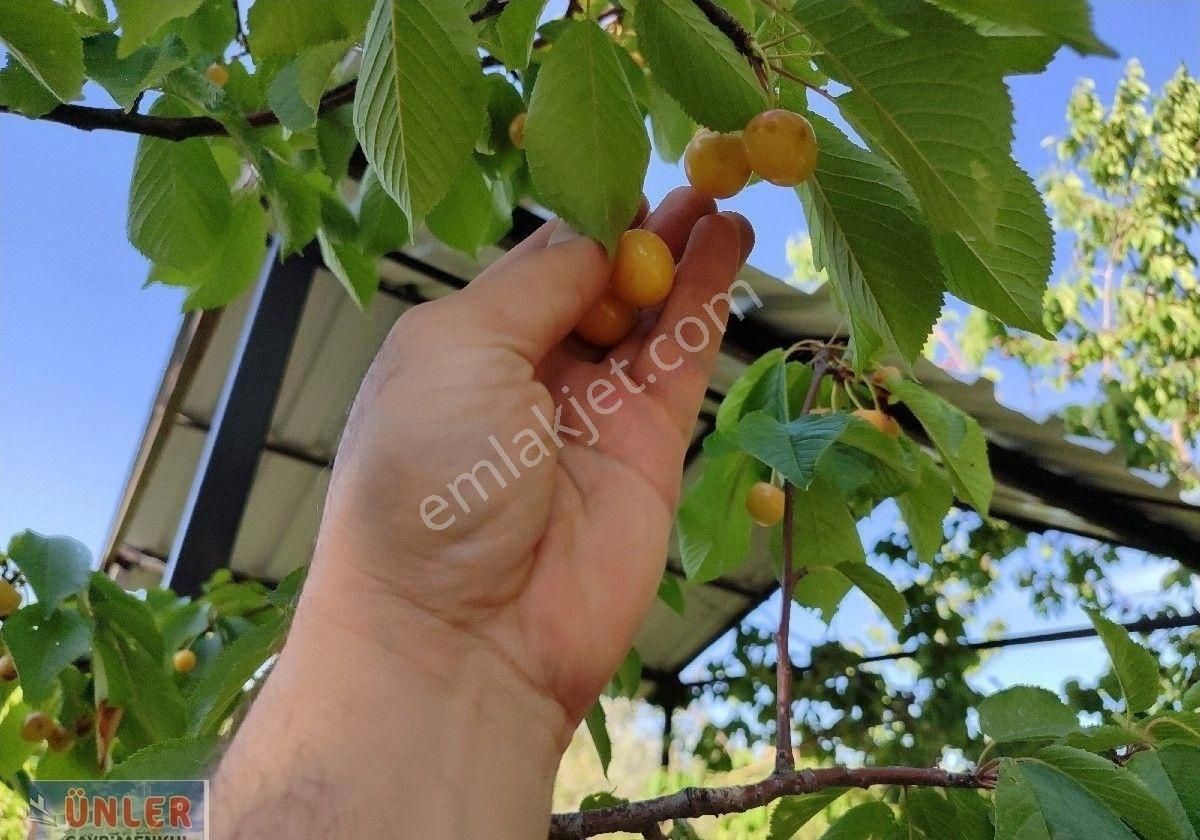 Büyük Dedeköyünde Satılık Villa Ve Bahçemiz - Görsel 14