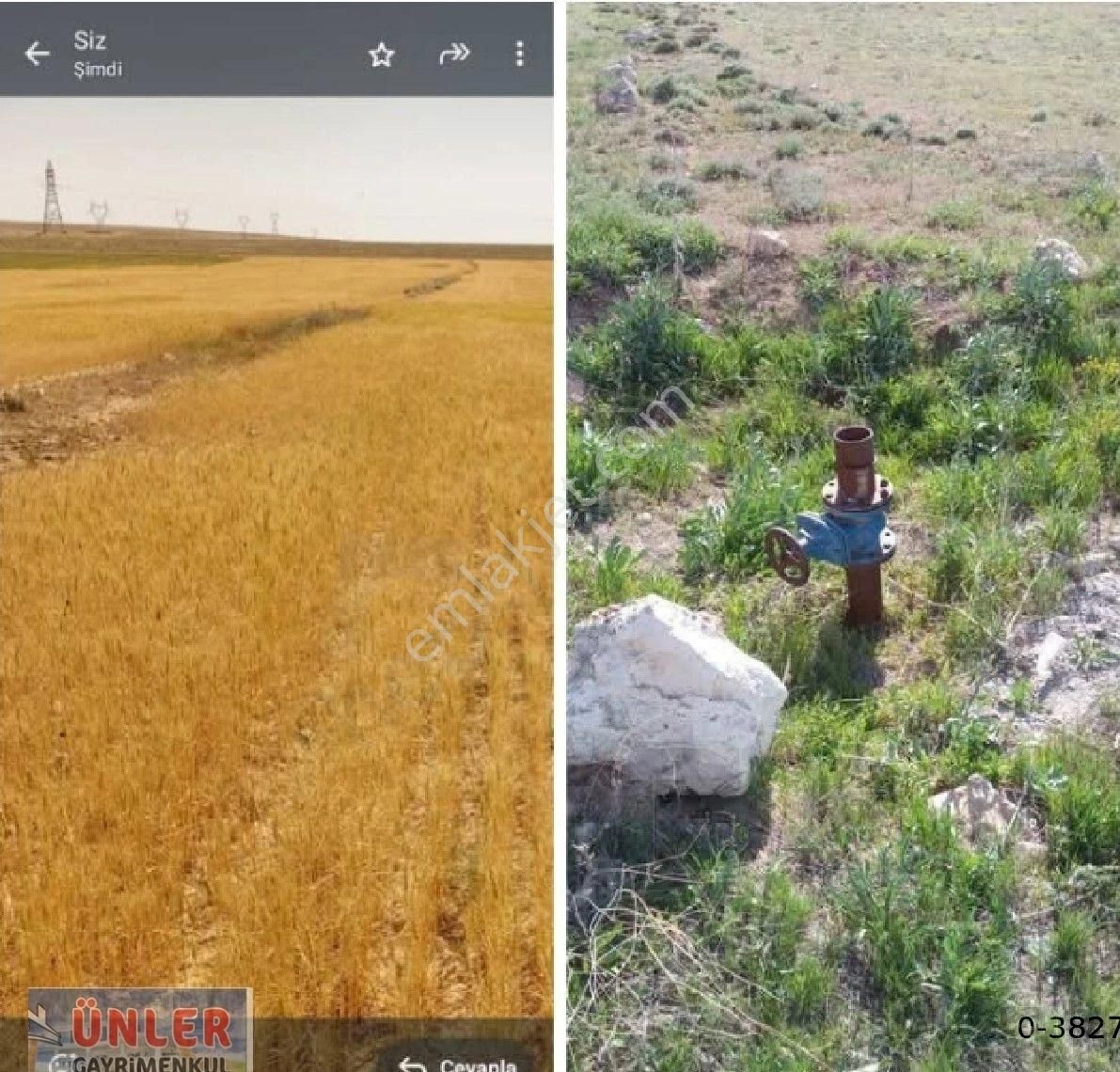 Ayrancıda Satılık Çiftlik