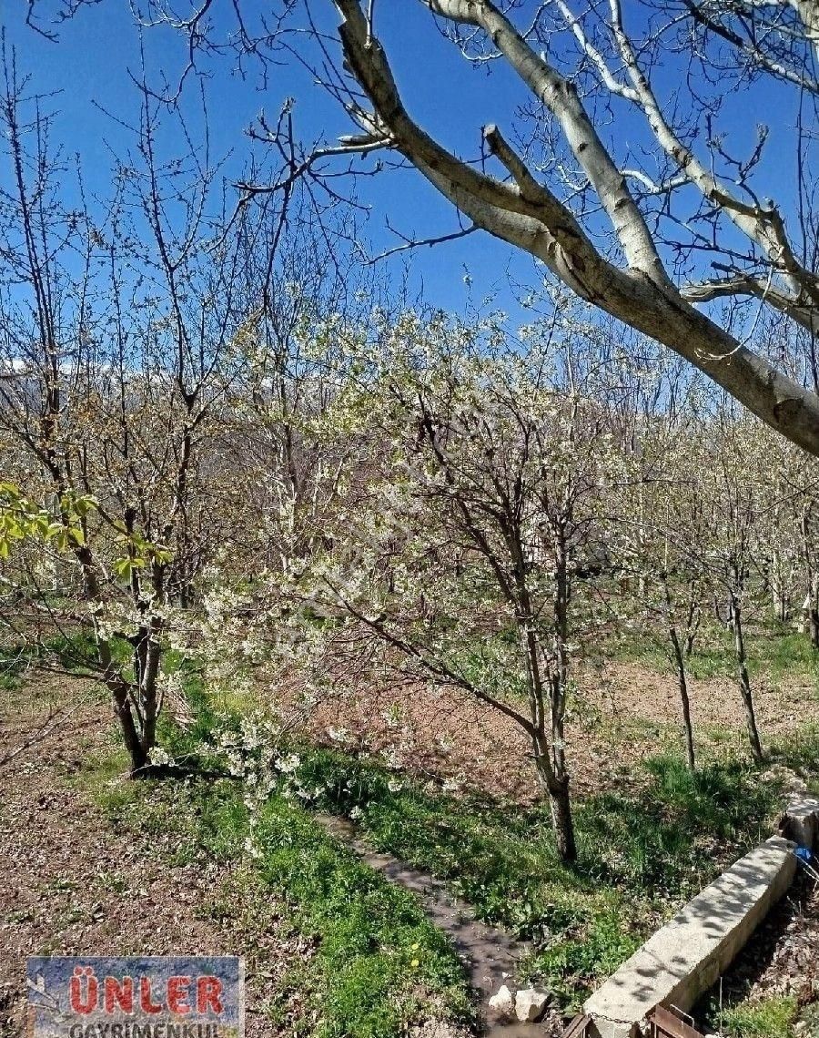 Halkapınar Merkezi Yerde Bahçeli Ev Elektrik Su Aboneliği Mevcut - Görsel 6