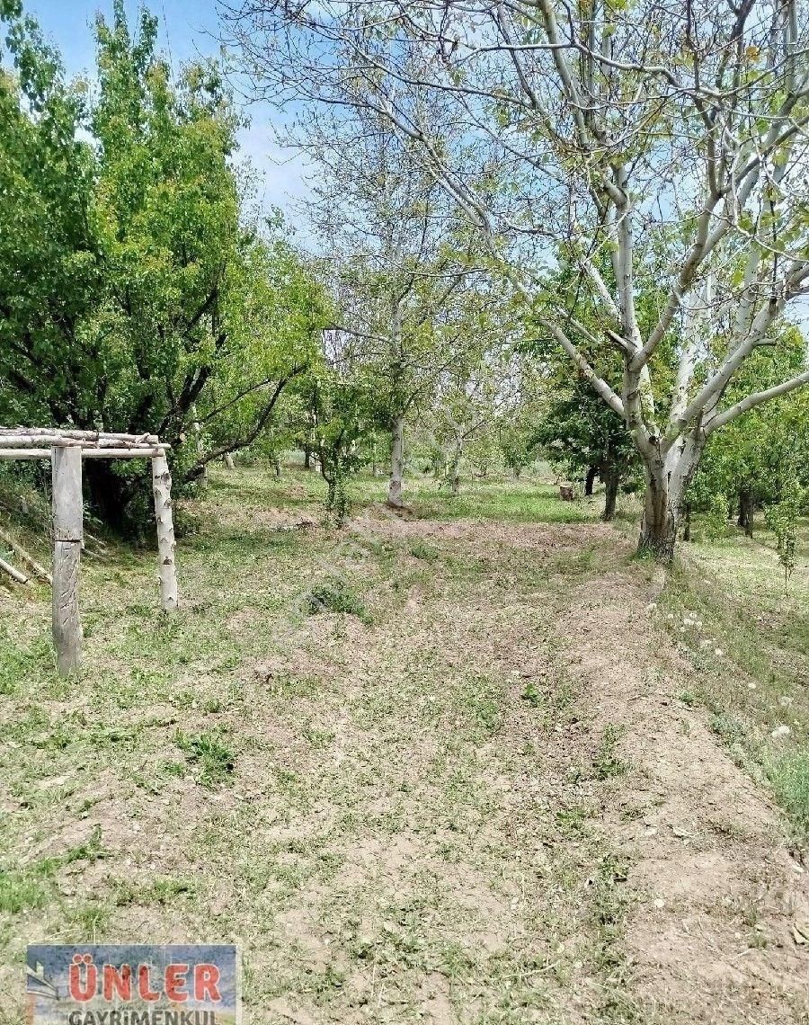Halkapınar Merkezi Yerde Bahçeli Ev Elektrik Su Aboneliği Mevcut - Görsel 22