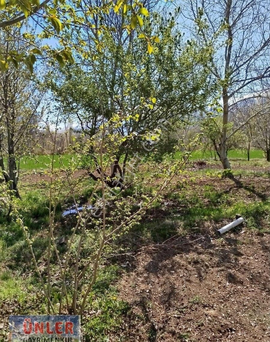 Halkapınar Merkezi Yerde Bahçeli Ev Elektrik Su Aboneliği Mevcut - Görsel 5