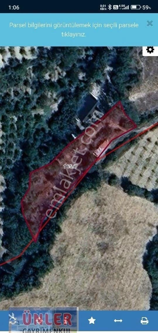 Ereğli Yıldızlıda Suyun Kenarında Muhteşem Bahçe Tek Tapulu - Görsel 3