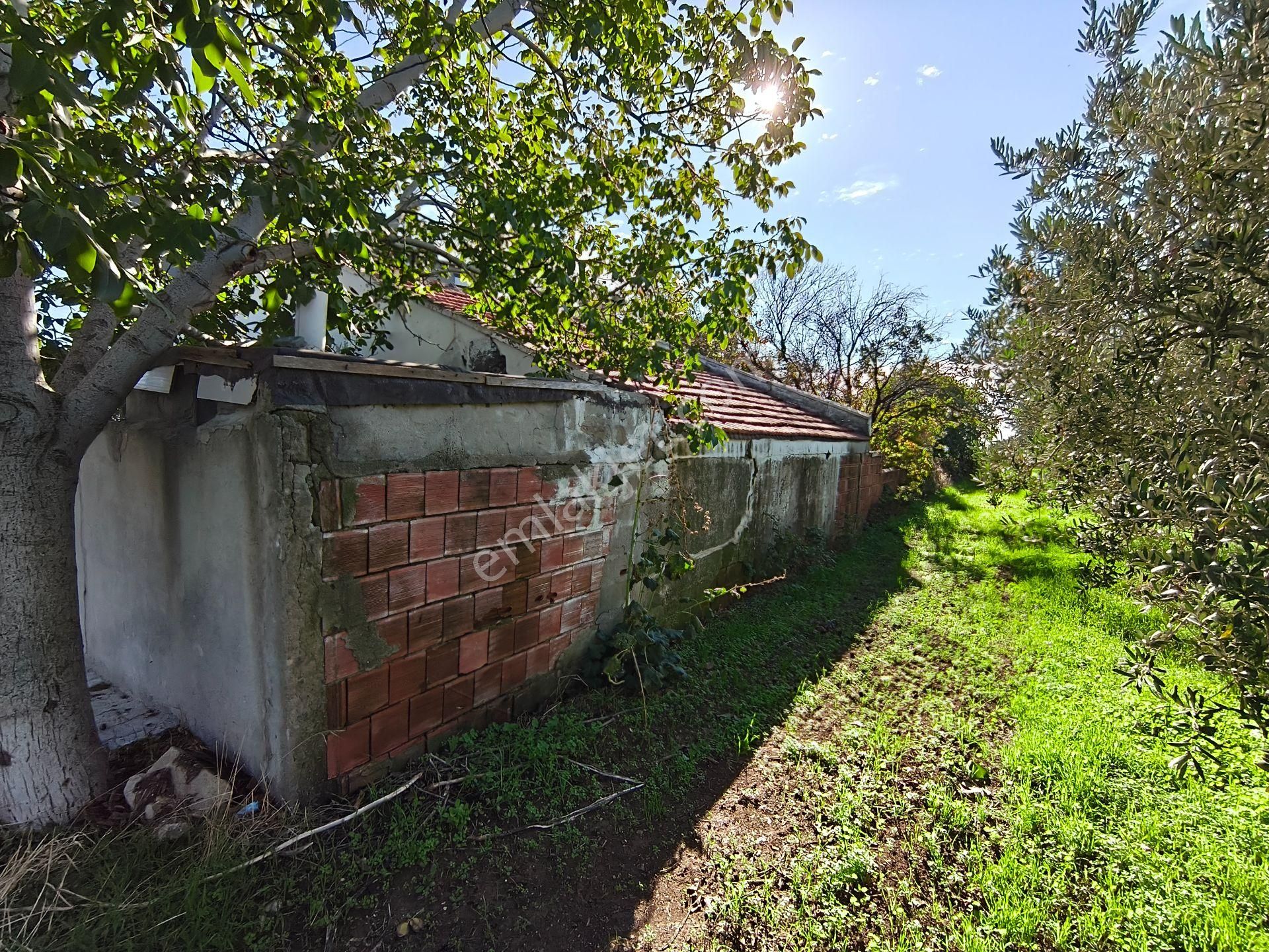 Bulut Yatırımdan 300 M² % 25 İmarlı Merkezi Konumda Ev Ve Arsası - Görsel 6