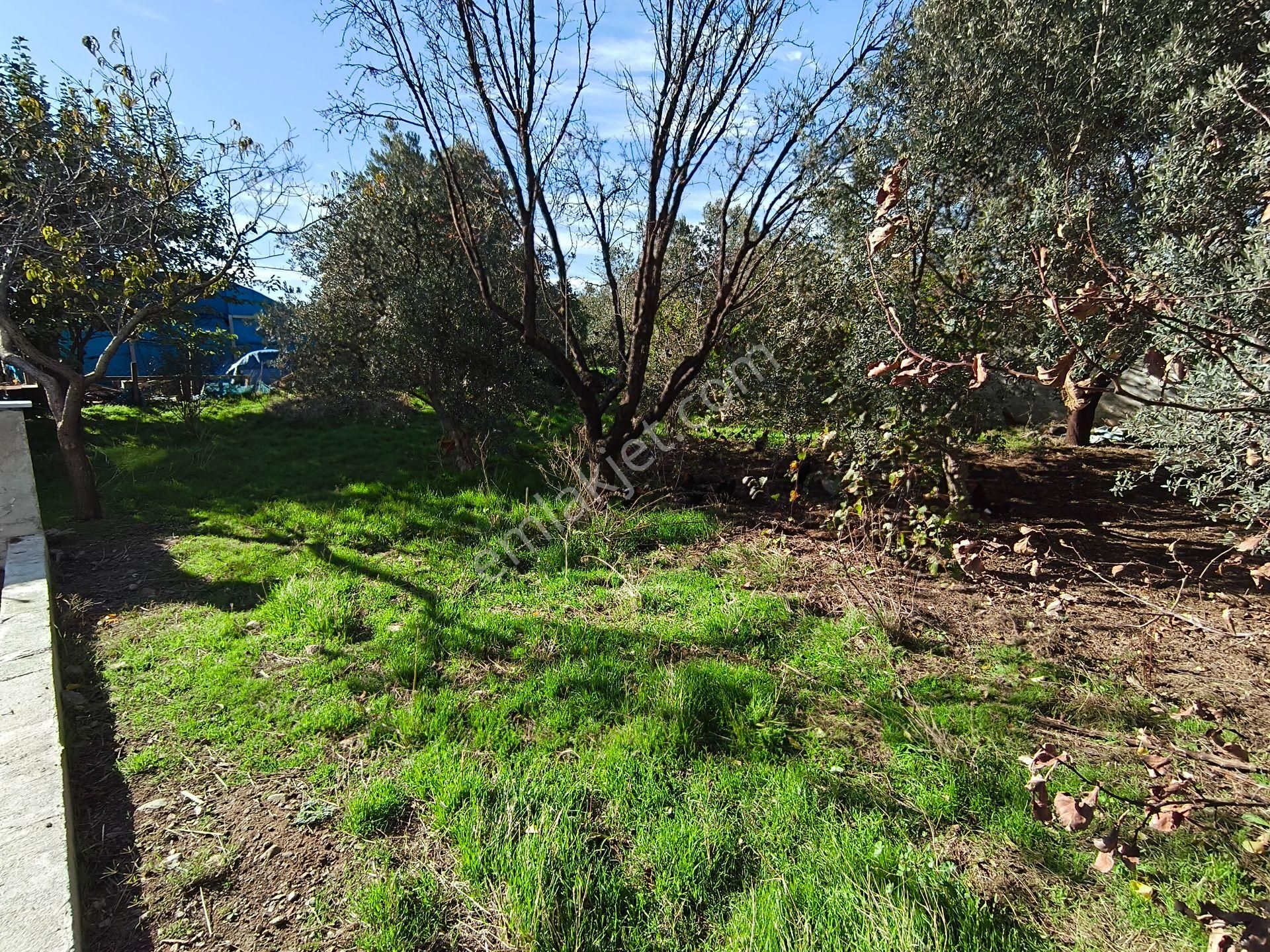 Bulut Yatırımdan 300 M² % 25 İmarlı Merkezi Konumda Ev Ve Arsası - Görsel 8