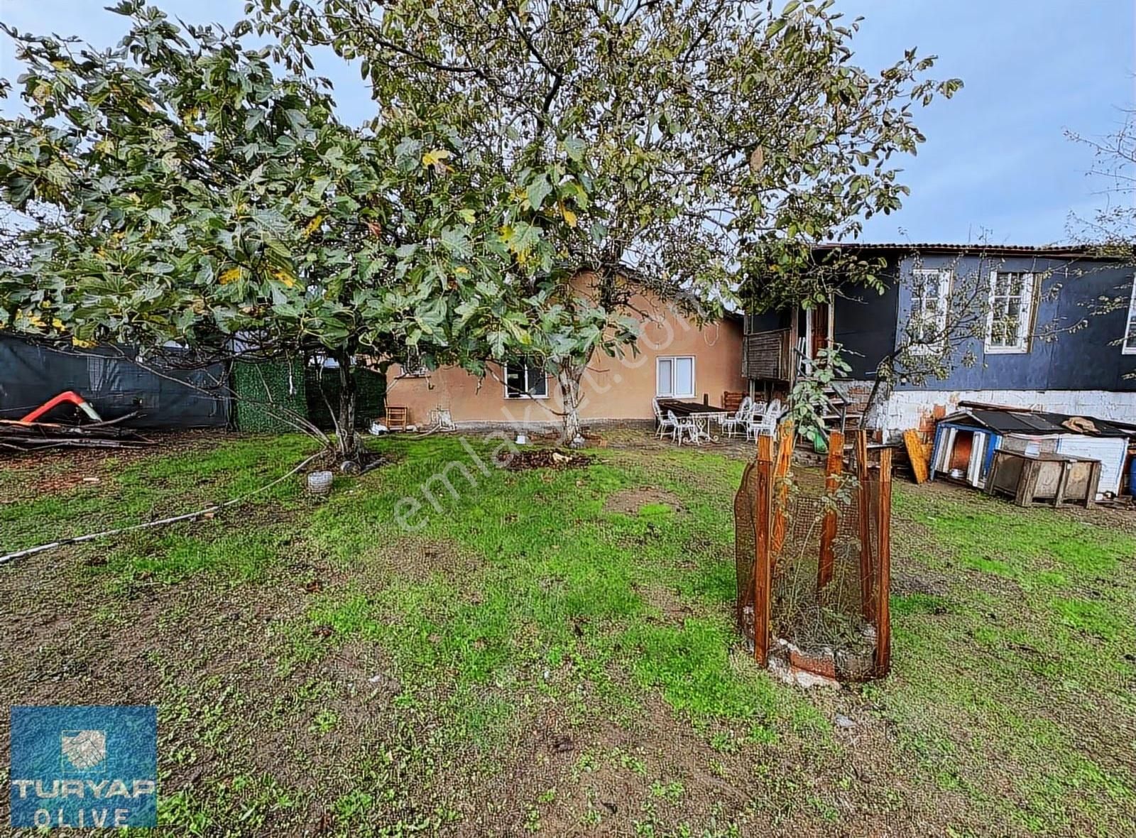 Eyüpsultan Işıklar Köyünde İçinde Ev Bulunan Satılık Tarla - Görsel 6