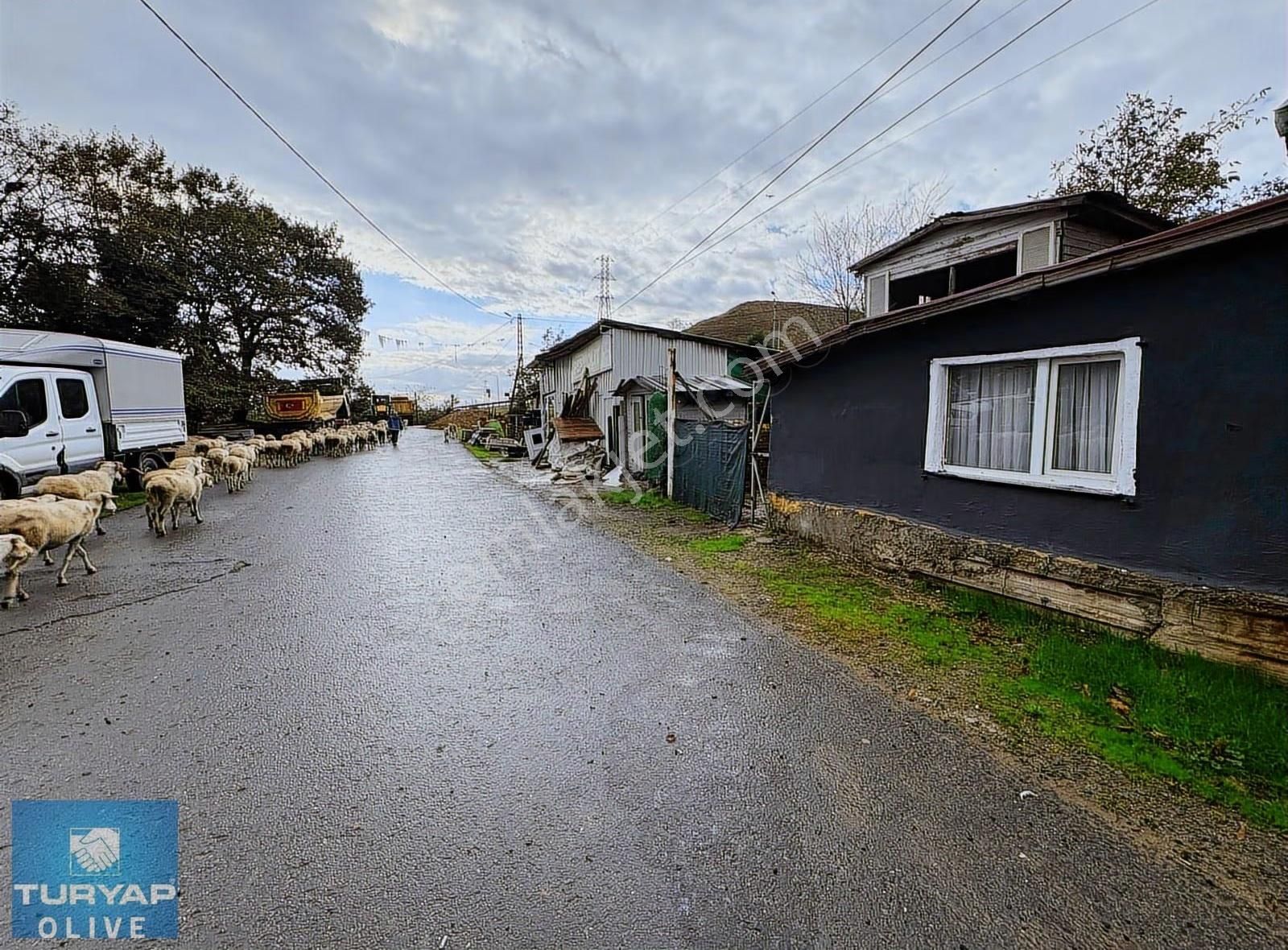 Eyüpsultan Işıklar Köyünde İçinde Ev Bulunan Satılık Tarla - Görsel 5