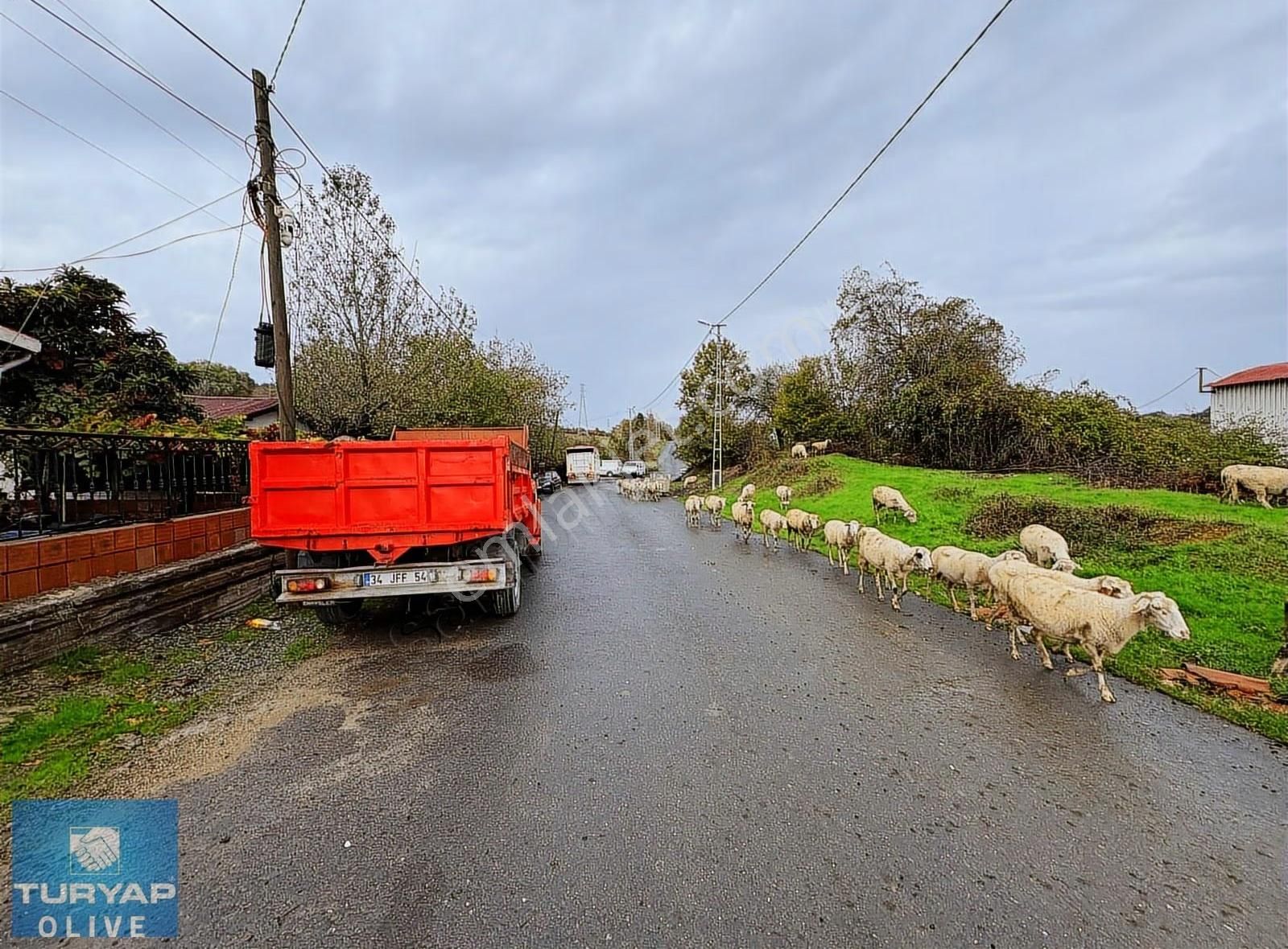 Eyüpsultan Işıklar Köyünde İçinde Ev Bulunan Satılık Tarla - Görsel 19