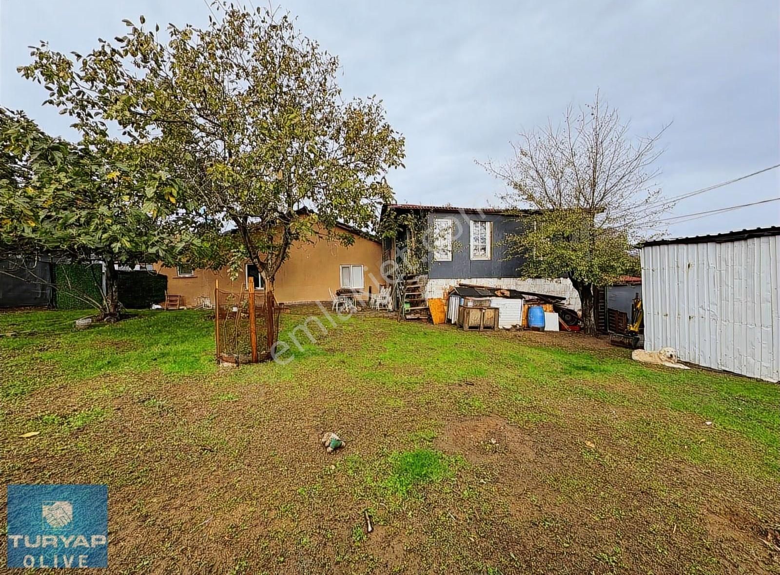 Eyüpsultan Işıklar Köyünde İçinde Ev Bulunan Satılık Tarla - Görsel 2