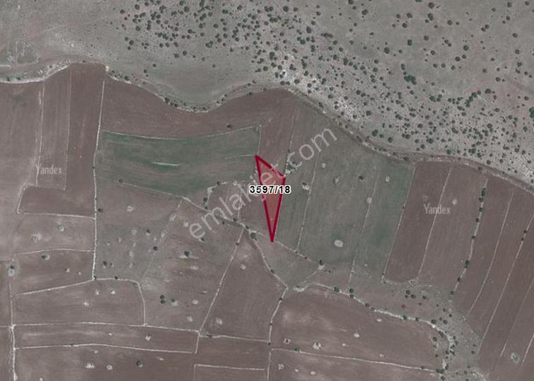 Eskişehir Seyitgazi Cevizlide 1.083 M2 Tarlamız Satılıktır.
