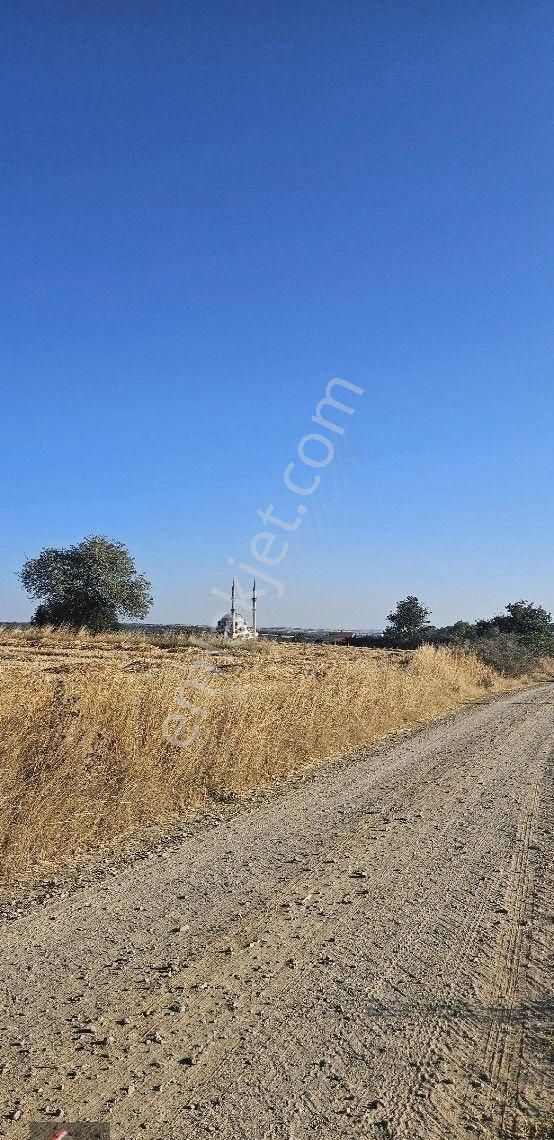 Büyükçavuşlu'da 1000 M2 Satılık Arsa - Görsel 16