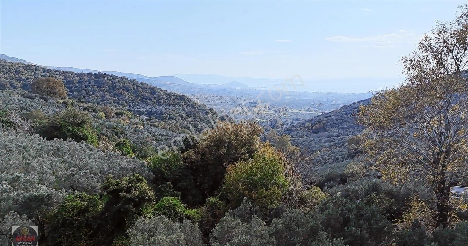 Aycan Gayrimenkulden Ocaklar Mah Satılık 3.875 M² Zeytinlik - Görsel 10