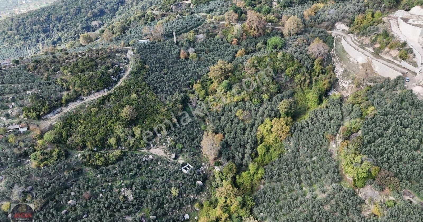 Aycan Gayrimenkulden Ocaklar Mah Satılık 3.875 M² Zeytinlik - Görsel 8