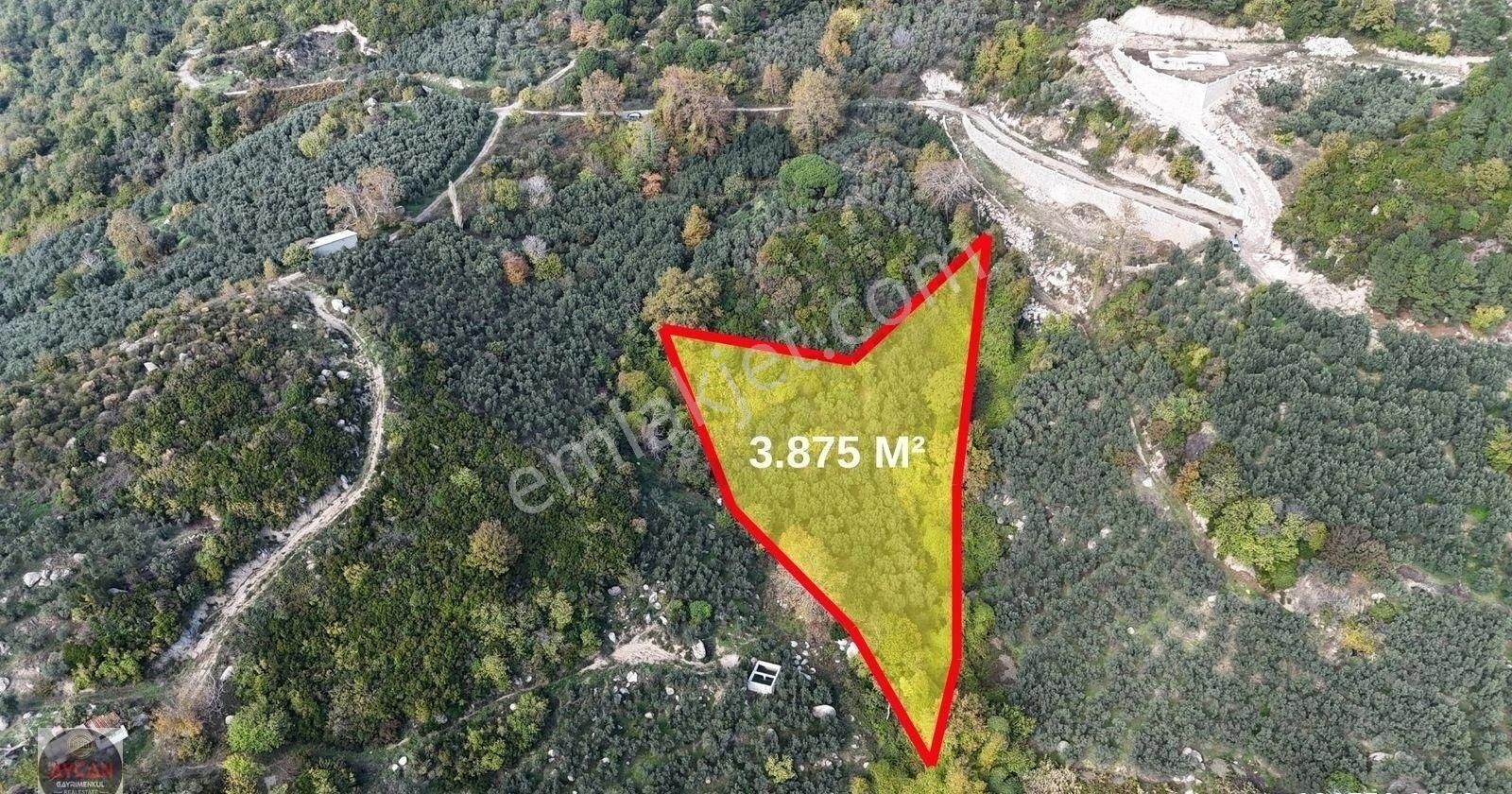Aycan Gayrimenkulden Ocaklar Mah Satılık 3.875 M² Zeytinlik - Görsel 12