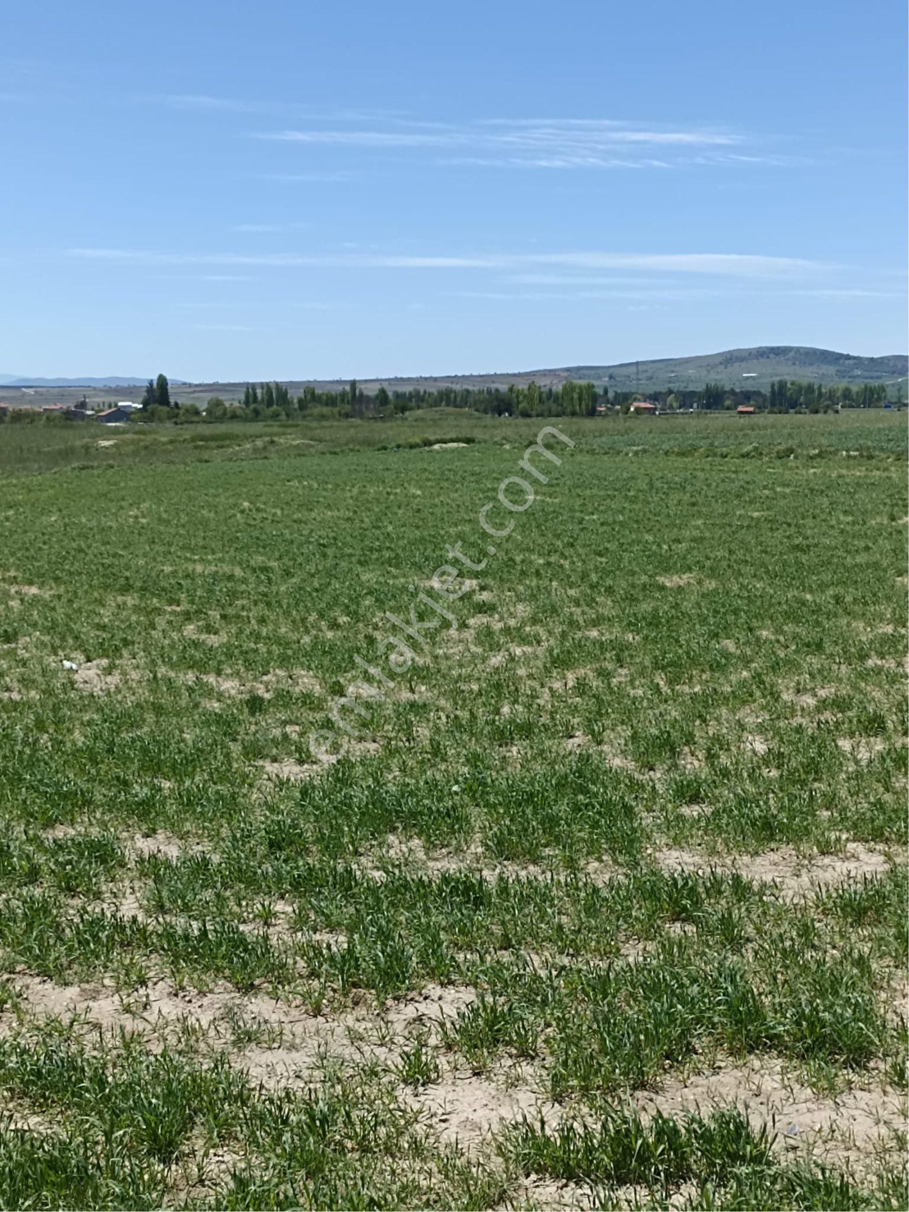 Afyonkarahisar İmarın Dibinde Satılık Tarla - Görsel 4