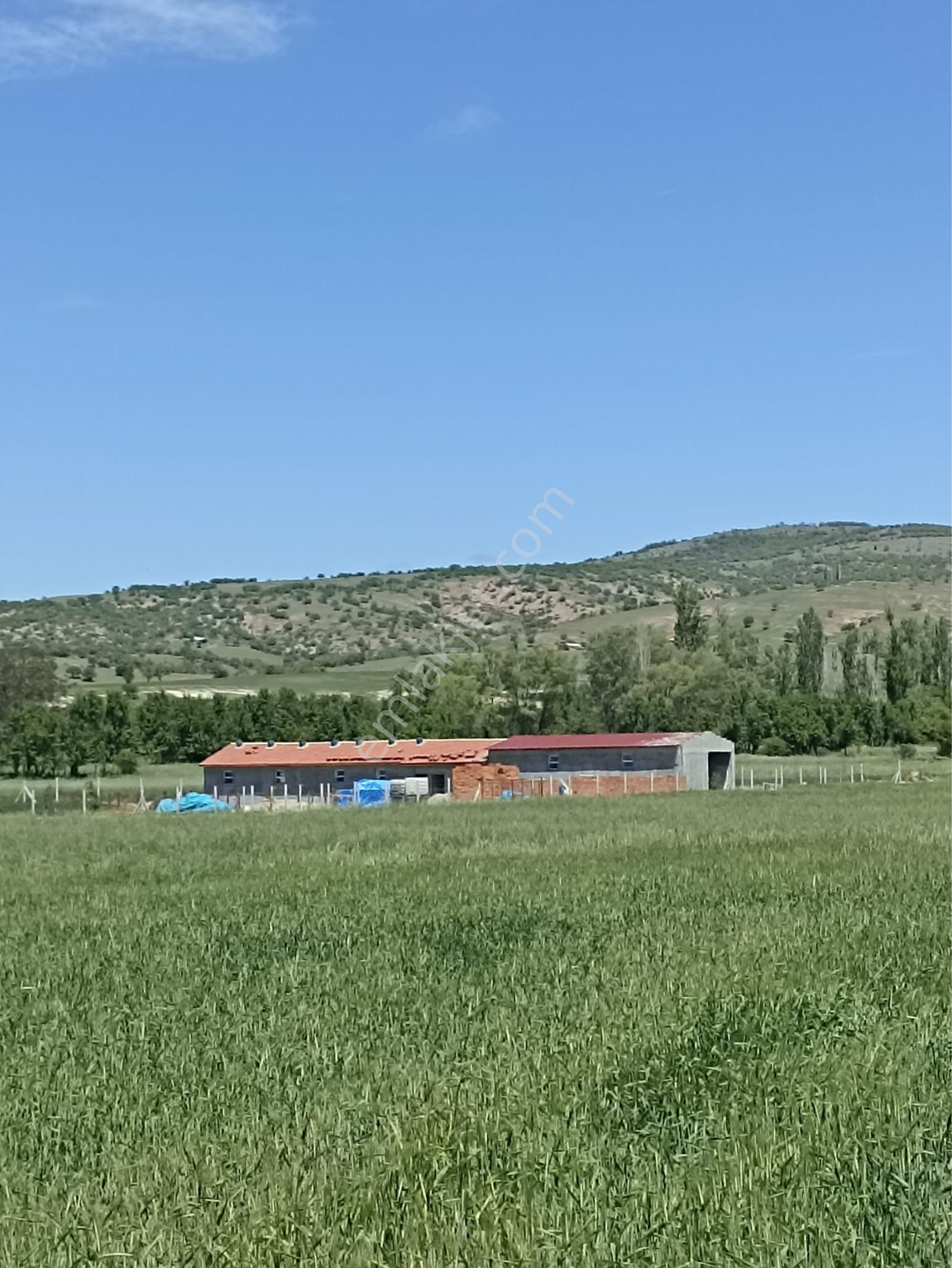 Afyonkarahisar İmarın Dibinde Satılık Tarla - Görsel 2