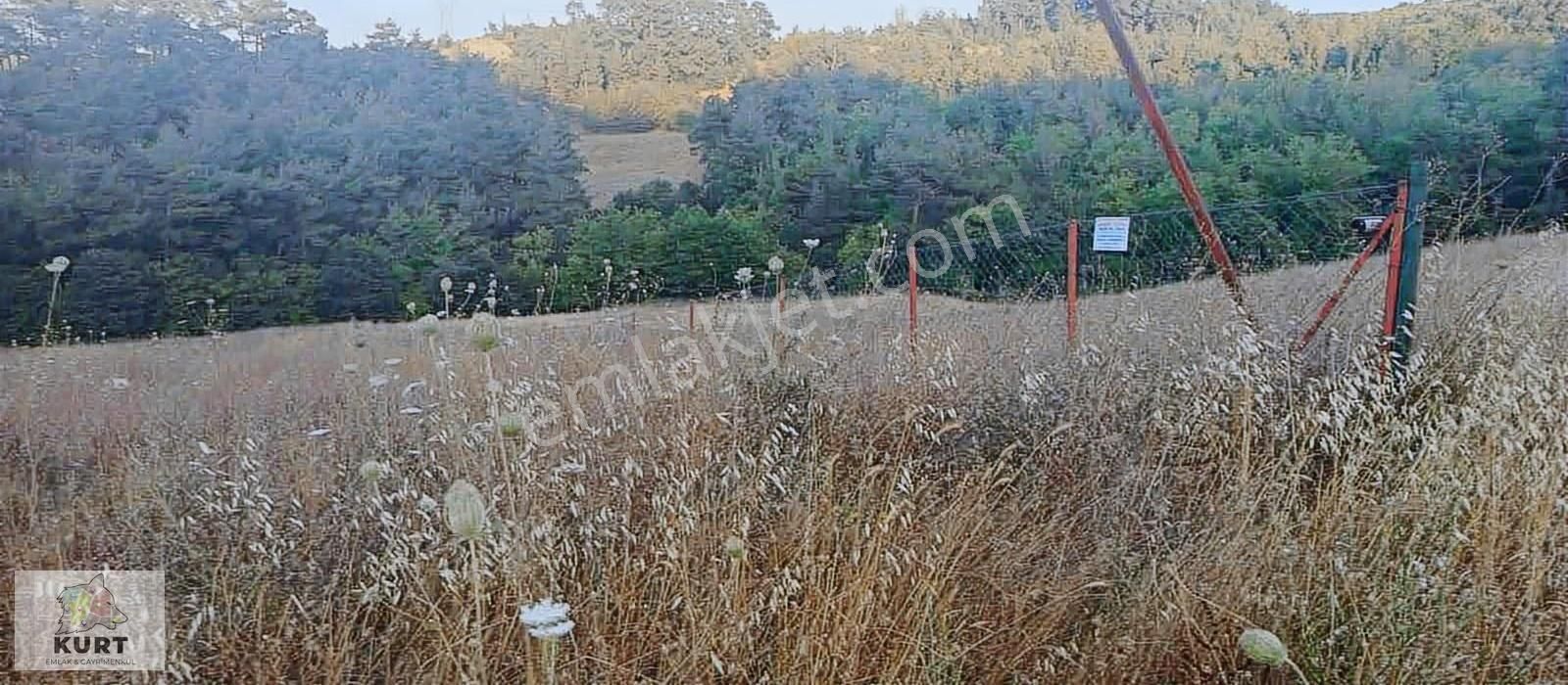 Kurt Gayrimenkulden Kızılkeçili İğdelik Mah. Satılık Tarla - Görsel 3