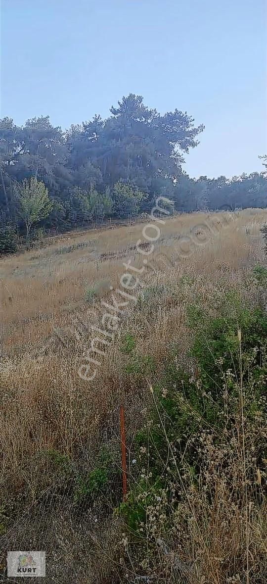 Kurt Gayrimenkulden Kızılkeçili İğdelik Mah. Satılık Tarla - Görsel 4