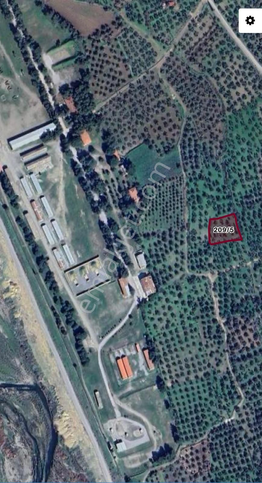 Pak Yapı'dan Burhaniye Yunus Mah. 1.635m2 Merkezde Zeytinlik - Görsel 2