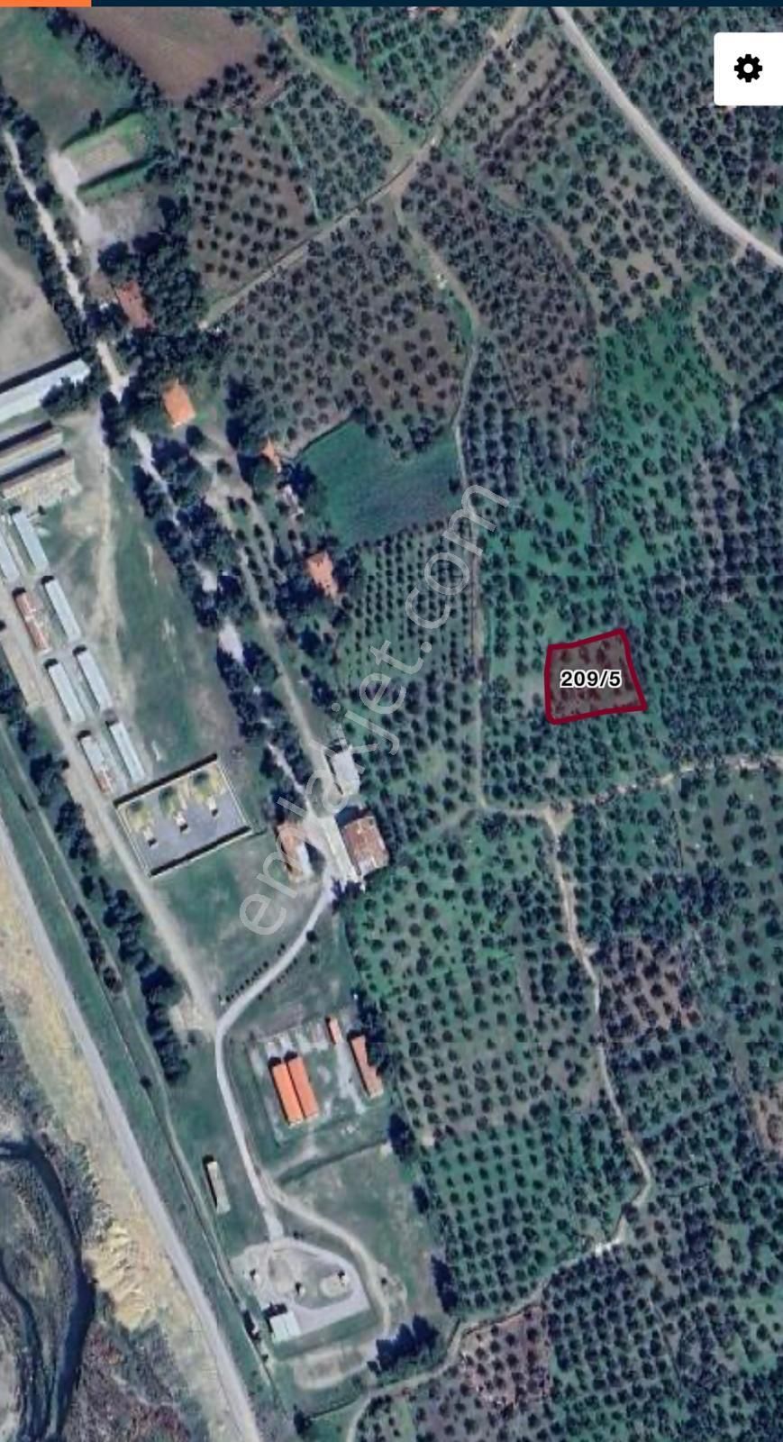 Pak Yapı'dan Burhaniye Yunus Mah. 1.635m2 Merkezde Zeytinlik - Görsel 11