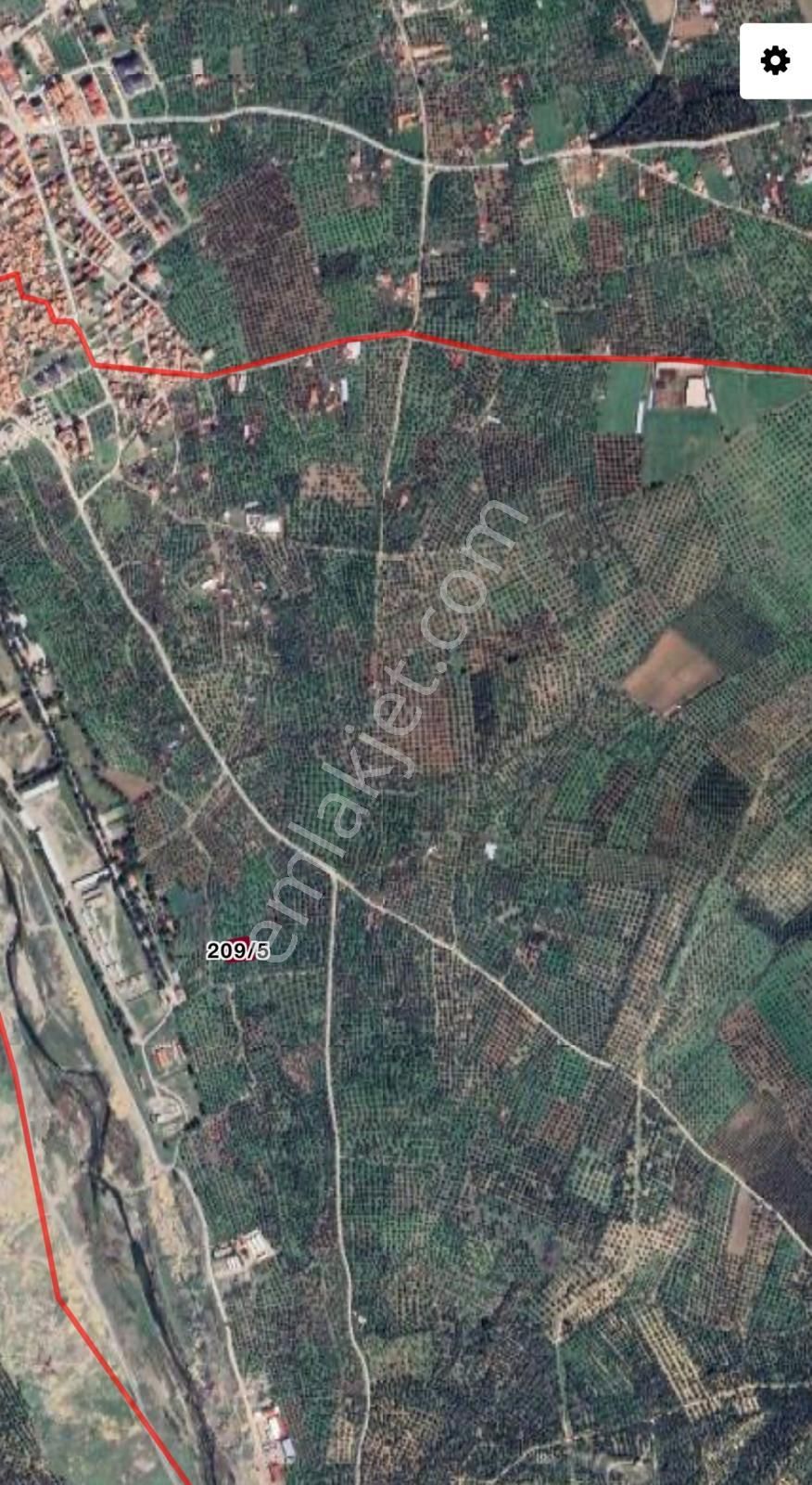 Pak Yapı'dan Burhaniye Yunus Mah. 1.635m2 Merkezde Zeytinlik - Görsel 13