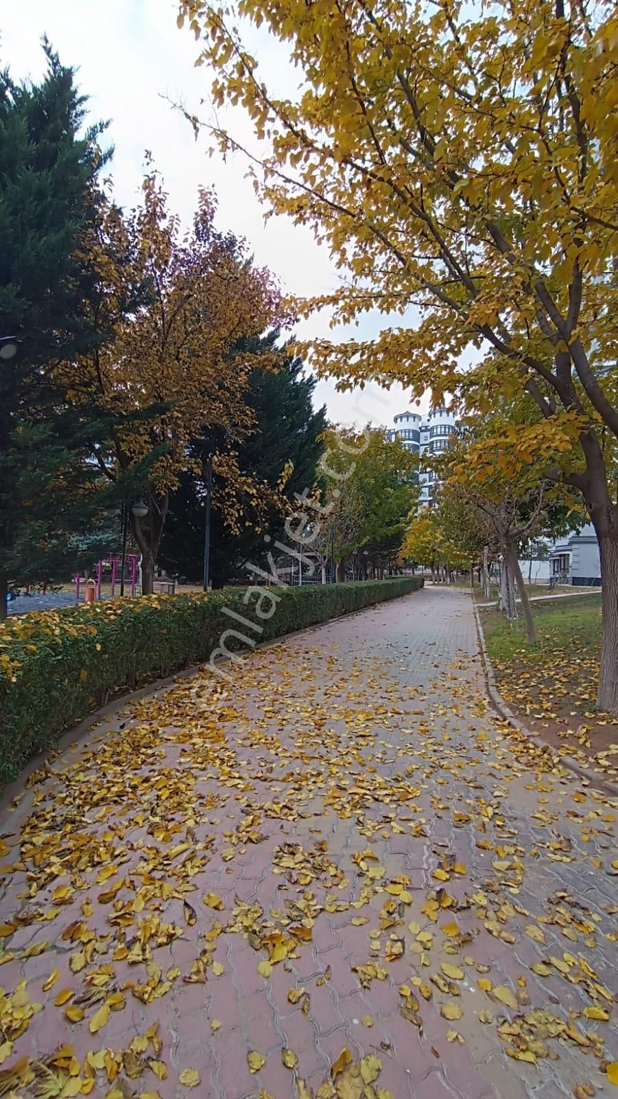 Beyhekim Mh Azra Konutları Yeni Bloklarda 4+1 Geniş Ara Kat Satılık Daire - Görsel 30