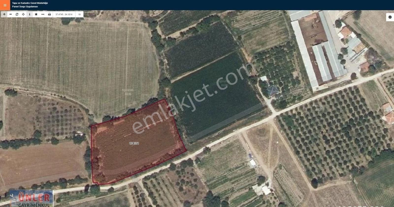 Gökçeyazı Mahallesinde 6900 Metrekare Tek Tapulu Çok Güzel Yerdeki Bahçemiz Satılıktır. - Görsel 11