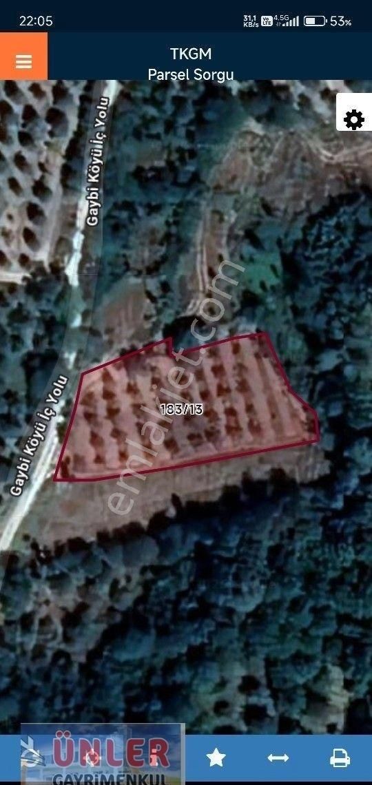 Gaybide 1632 Metrekare Tek Tapulu Ceviz Bahçesi - Görsel 2