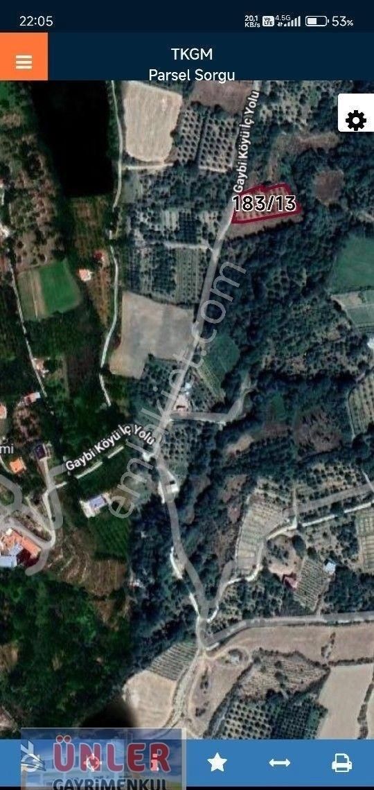 Gaybide 1632 Metrekare Tek Tapulu Ceviz Bahçesi - Görsel 9