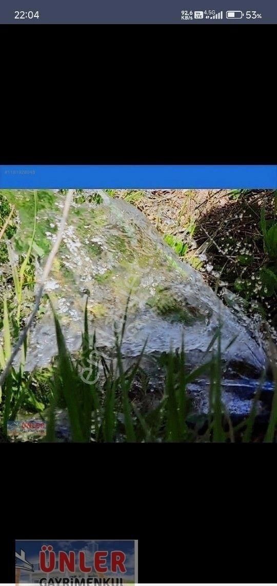 Gaybide 1632 Metrekare Tek Tapulu Ceviz Bahçesi - Görsel 18