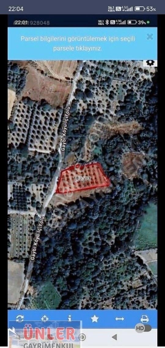 Gaybide 1632 Metrekare Tek Tapulu Ceviz Bahçesi - Görsel 5