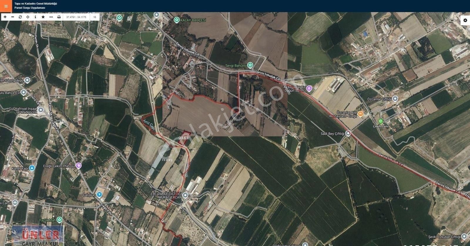 Belceağaçta Tek Tapulu 4967 Metrekare Cazip Fiyata Bahçemiz - Görsel 8