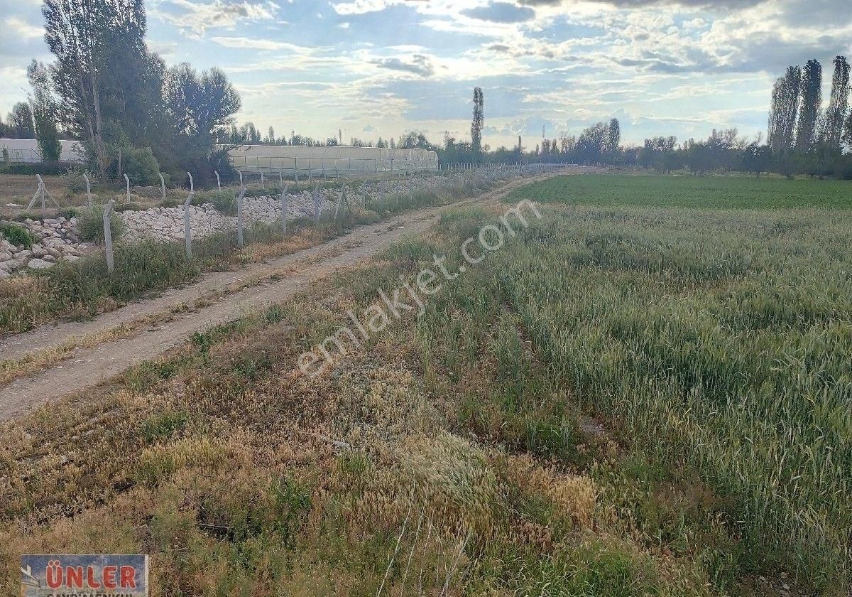 Belceağaçta Tek Tapulu 4967 Metrekare Cazip Fiyata Bahçemiz - Görsel 7