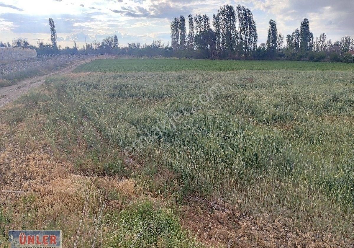 Belceağaçta Tek Tapulu 4967 Metrekare Cazip Fiyata Bahçemiz - Görsel 22