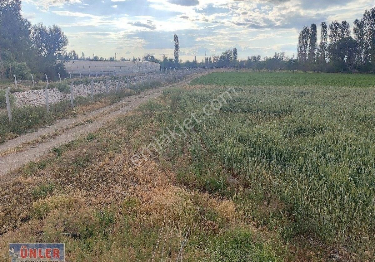 Belceağaçta Tek Tapulu 4967 Metrekare Cazip Fiyata Bahçemiz - Görsel 9